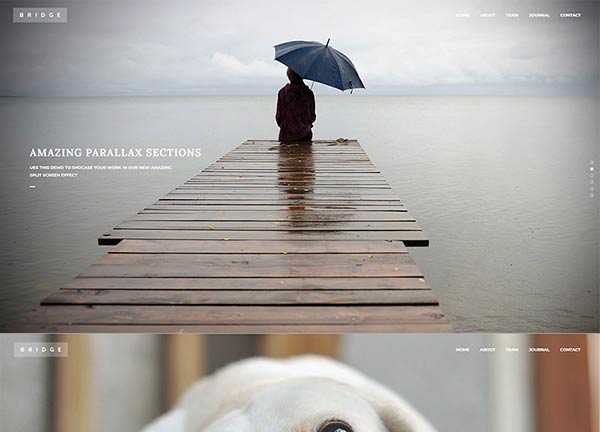 Template Bronze 22
