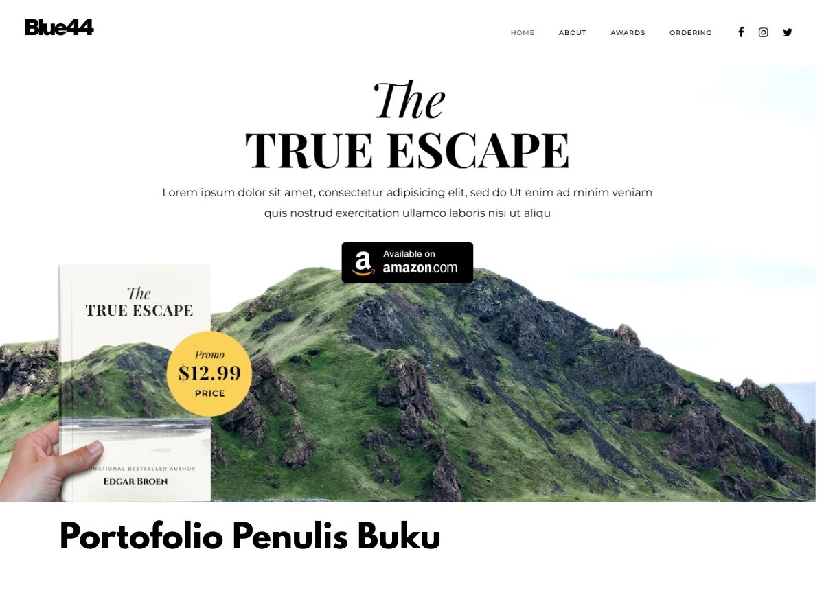 Portofolio Penulis Buku